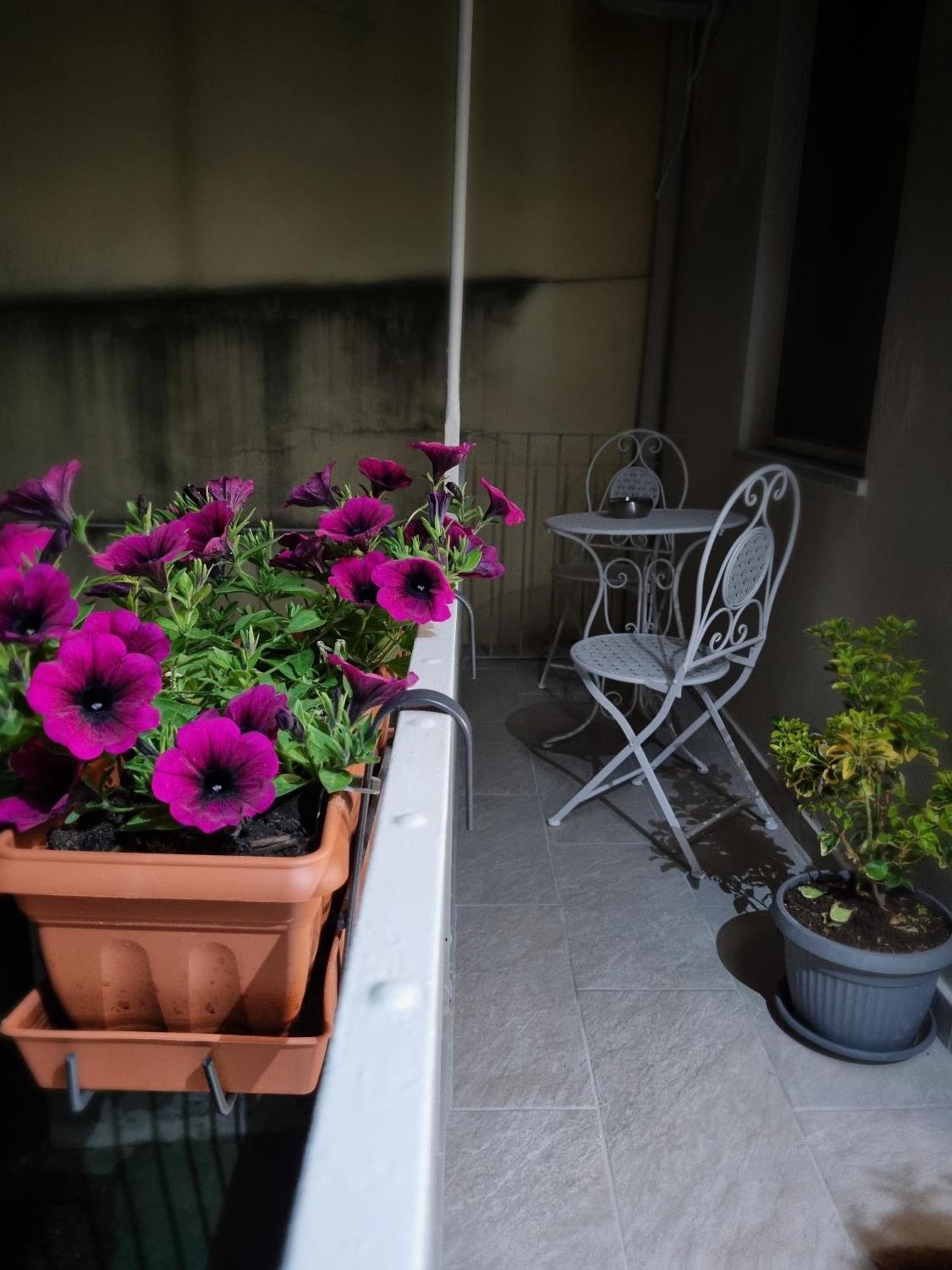 Appartamento Ca Fiamma 2 Casale Monferrato Esterno foto